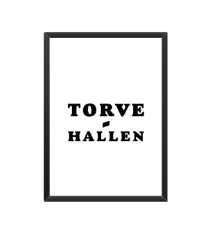 Torve Hallen