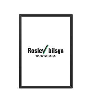 Roslev Bilsyn